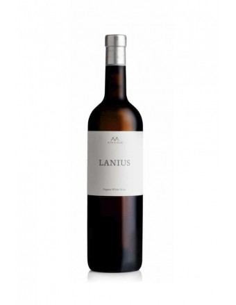 VINO LANIUS ECOLOGICO 2020