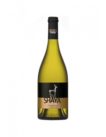 VINO SHAYA HABIS 2019